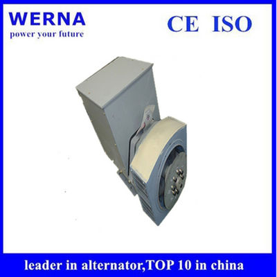 kupować Three-Phase Induction Generators Low THF and Copper Winding Material for Sustainable Power Generation online manufacture