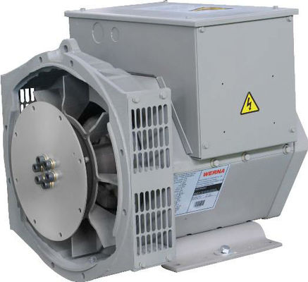kupować 50Hz Double Bearing Alternator with Rated Voltage 110V-480V and AVR SX460 AS440 for Stable Power Output online manufacture