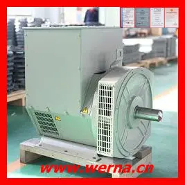 Klasy izolacyjnej H Napęd znamionowy 220V Generator prądu prądu przemiennego jednofazowego