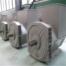 Klasa H 10-1000 KW 3-fazowy bezszczotkowy generator AC Premium